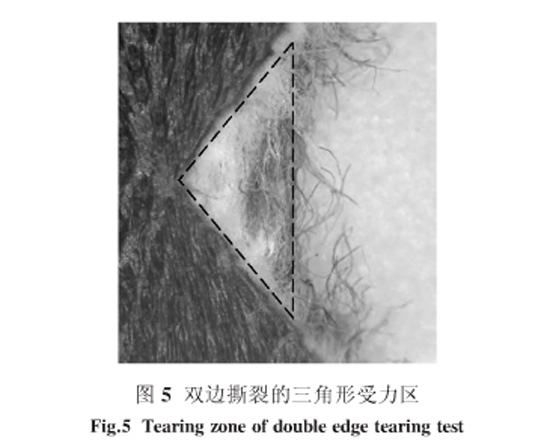 圖5:雙邊撕裂的三角形受力區