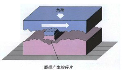 圖2:磨損產(chǎn)品的碎片